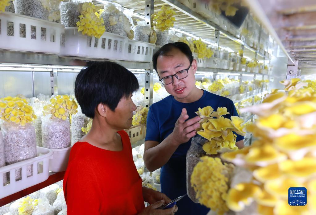 新莆京娱乐场官网地址